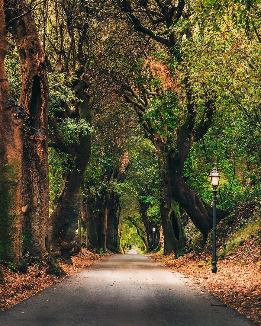 Autunno a Castel Gandolfo